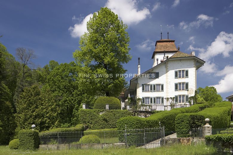 Immobilienmakler Zürich: Immobilie Aussenansicht Be Ruemligen Schloss 31